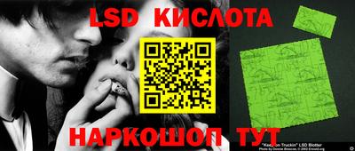стаф Берёзовский