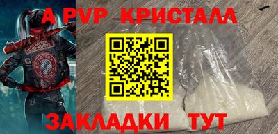 стаф Берёзовский