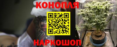 стаф Берёзовский