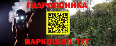 стаф Берёзовский