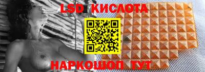 стаф Берёзовский