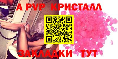 стаф Берёзовский
