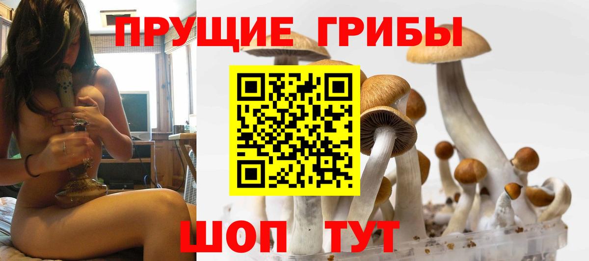 Кимры  Галлюциногенные грибы ЛСД  где купить   Псилоцибиновые грибы GOLDEN TEACHER  Вход с VPN 